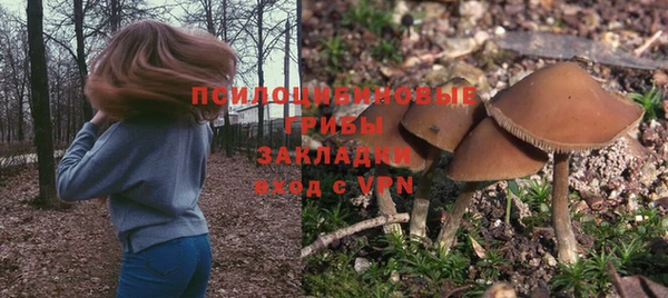 СК Каменка