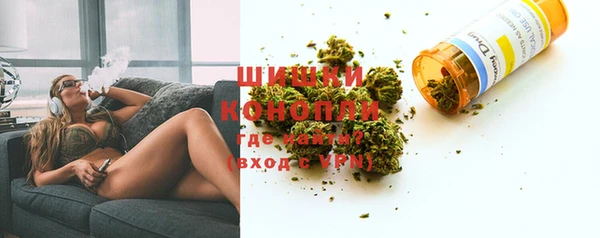 мдпв Каменногорск