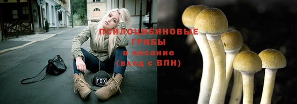 мдпв Каменногорск