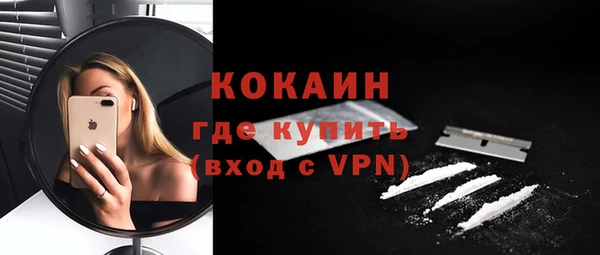 СК Каменка