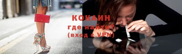 мдпв Каменногорск