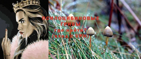 мдпв Каменногорск