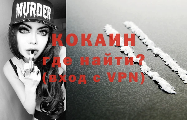 мдпв Каменногорск