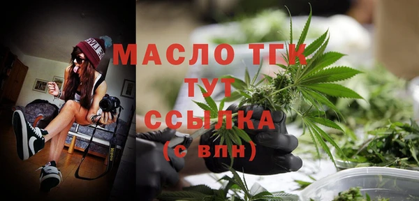 СК Каменка