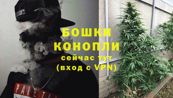 СК Каменка