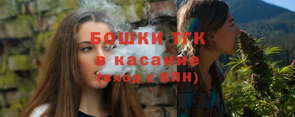 мдпв Каменногорск