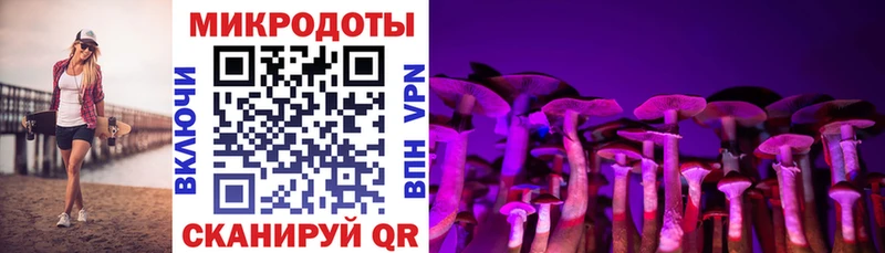 Купить  Выкса  Псилоцибиновые грибы Psilocybe 